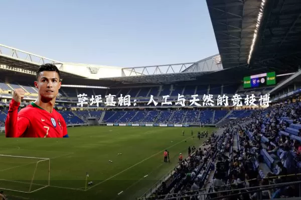 草坪真相:人工与天然的竞技博弈